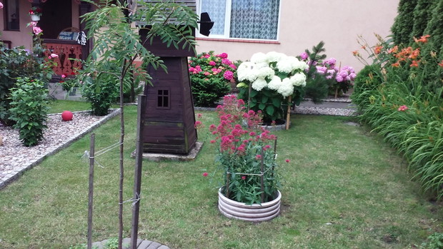 wiatrak zrobiony własnoręcznie przez męża