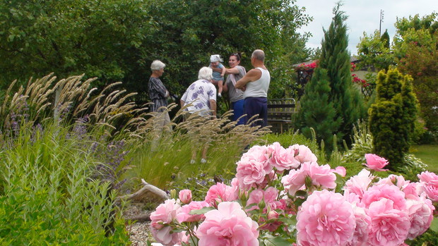 Witaj kochana prawnusiu.