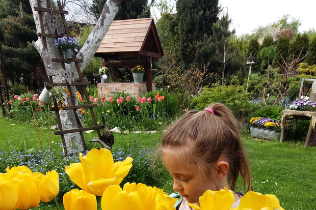 Wnuczka uwielbia kwiaty i robić z nich bukiety.Nigdy nie ma problemu,żeby zerwała trochę i próbowała swoich sił we "florystyce'...przecież poprzez zabawę,dzieci najlepiej się uczą :)