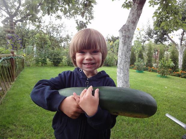 Wnusio Piotrusio chętnie pomaga babci w noszeniu takich gigantów