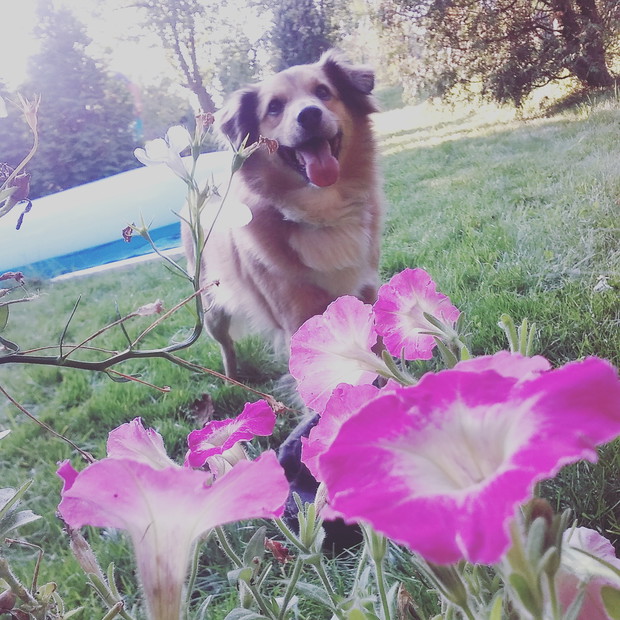 Wszyscy domownicy zadowoleni...