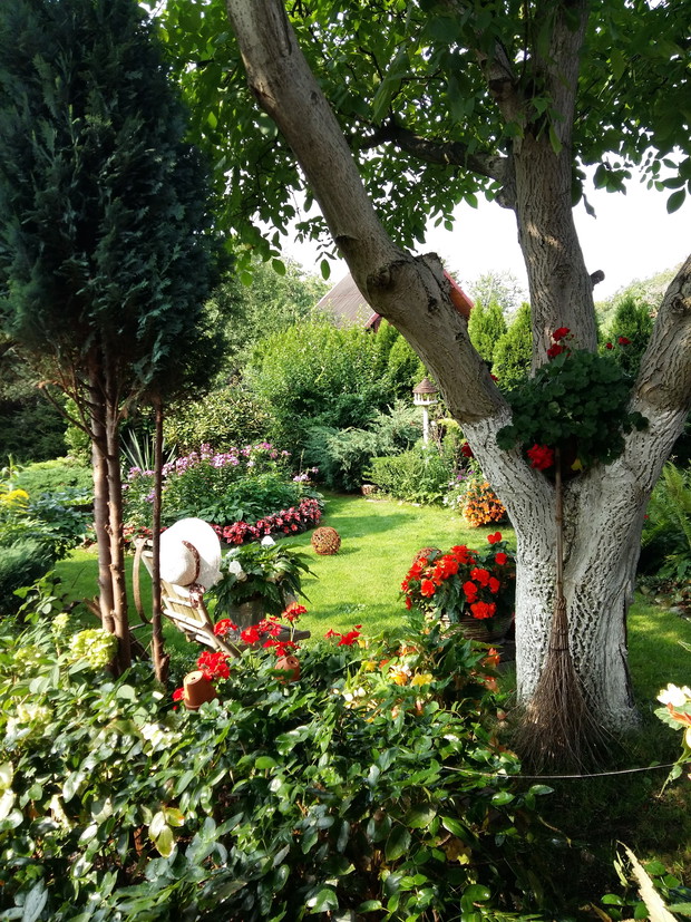 Zakątek w cieniu orzecha.Te drzewo sadziła moja,już nieżyjąca Teściowa.Darzymy je wielkim sentymentem i dbamy o nie,chociaż jesienią ,gdy spadają liście daje "popalić"
