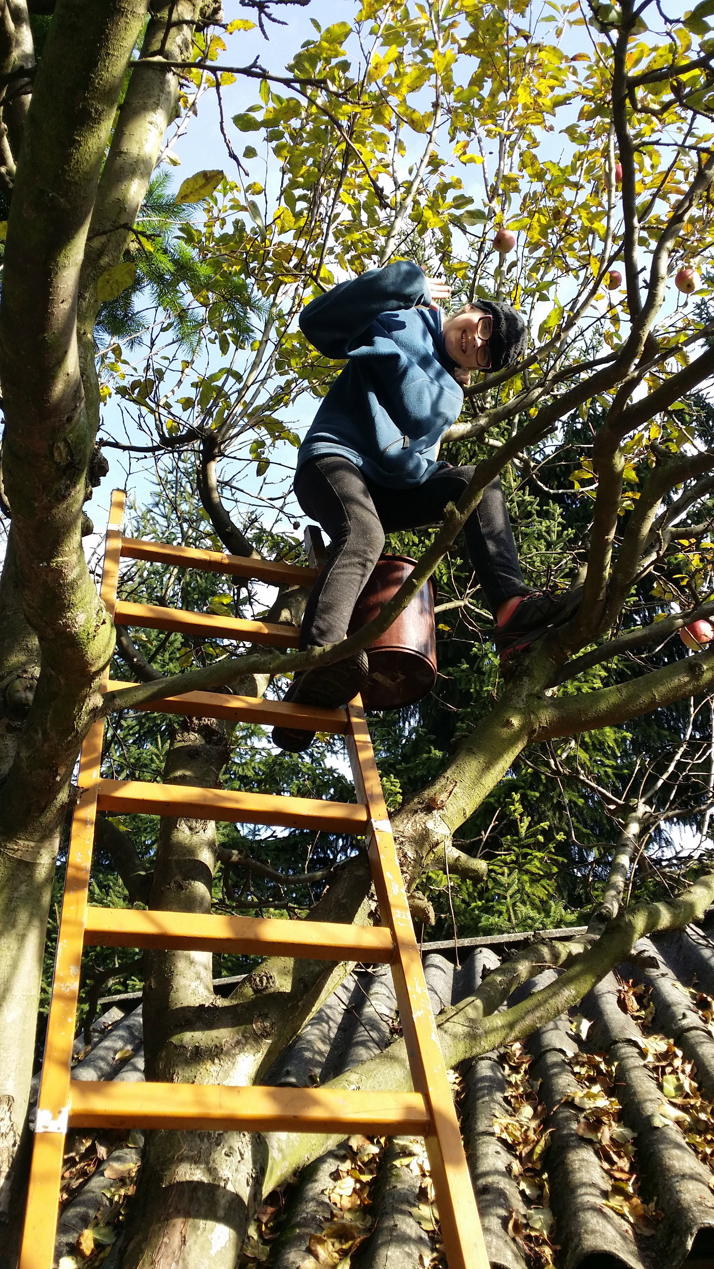 Zbieramy jabłuszka!