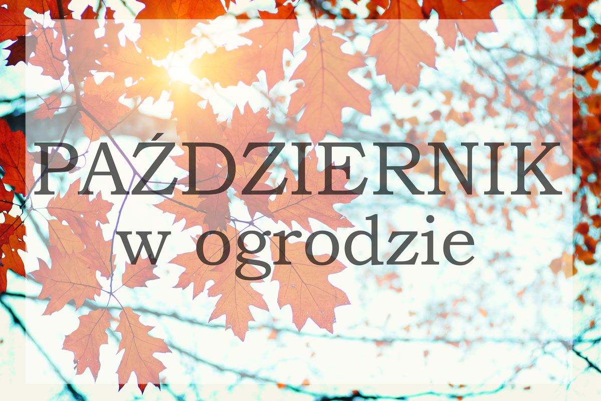 (zdj.: Fotolia.com)