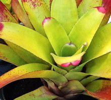 (zdj.: Shutterstock.com)