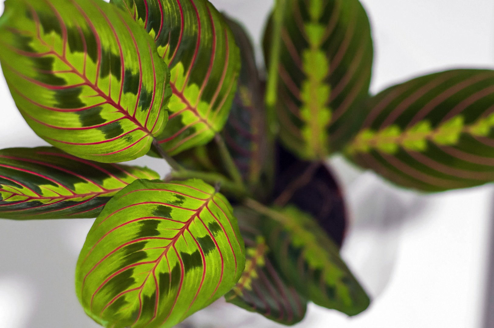  (zdj.: Shutterstock.com)