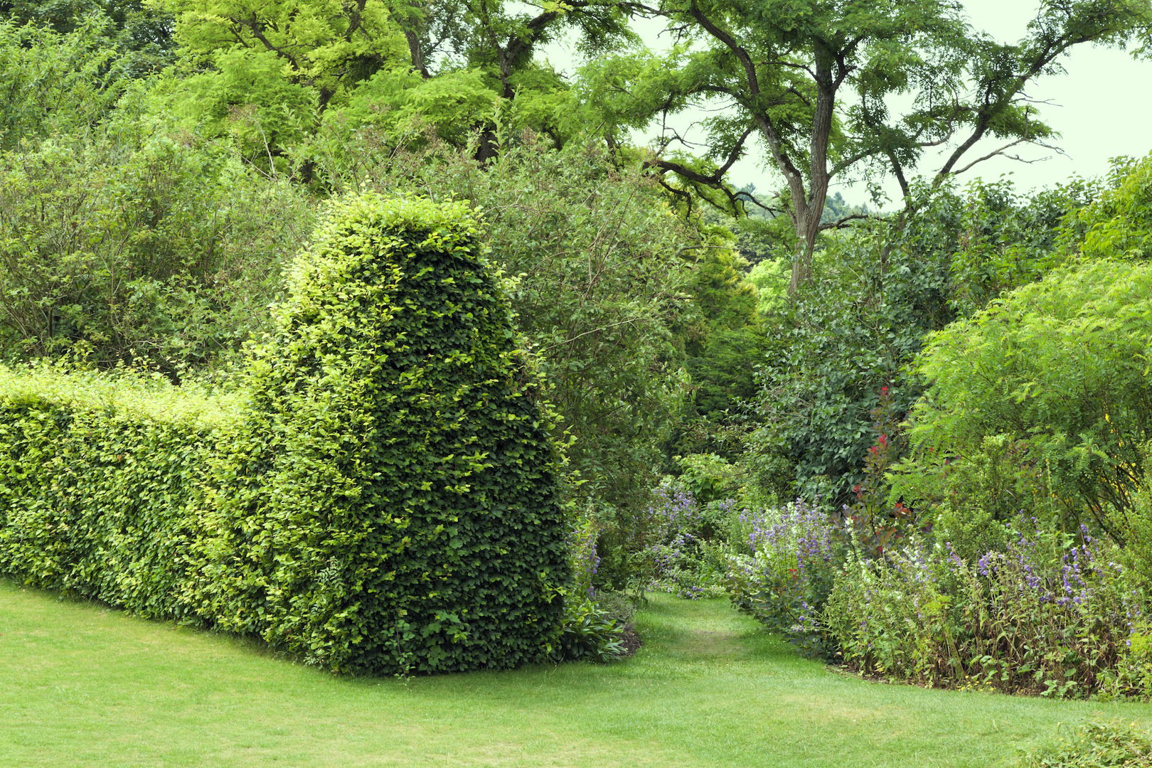 Żywopłot zakończony prostą formą kolumny jest eleganckim sposobem na oddzielenie od siebie dwóch części ogrodu (zdj.: Fotolia.com)
