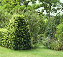 Żywopłot zakończony prostą formą kolumny jest eleganckim sposobem na oddzielenie od siebie dwóch części ogrodu (zdj.: Fotolia.com)