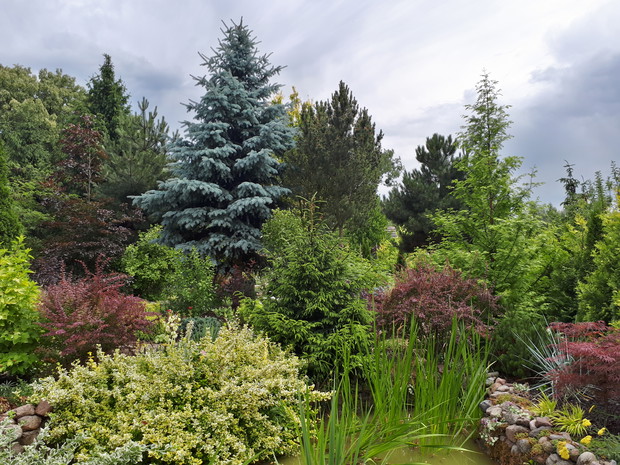 Barwy mojego ogrodu, jego głównego i ulubionego miejsca.