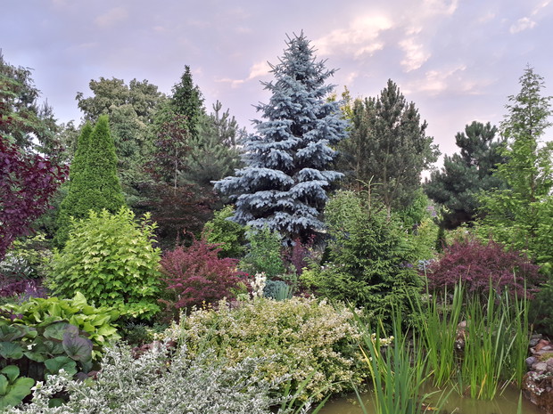 Boskie niebo, i barwy Naszego Ogrodu.