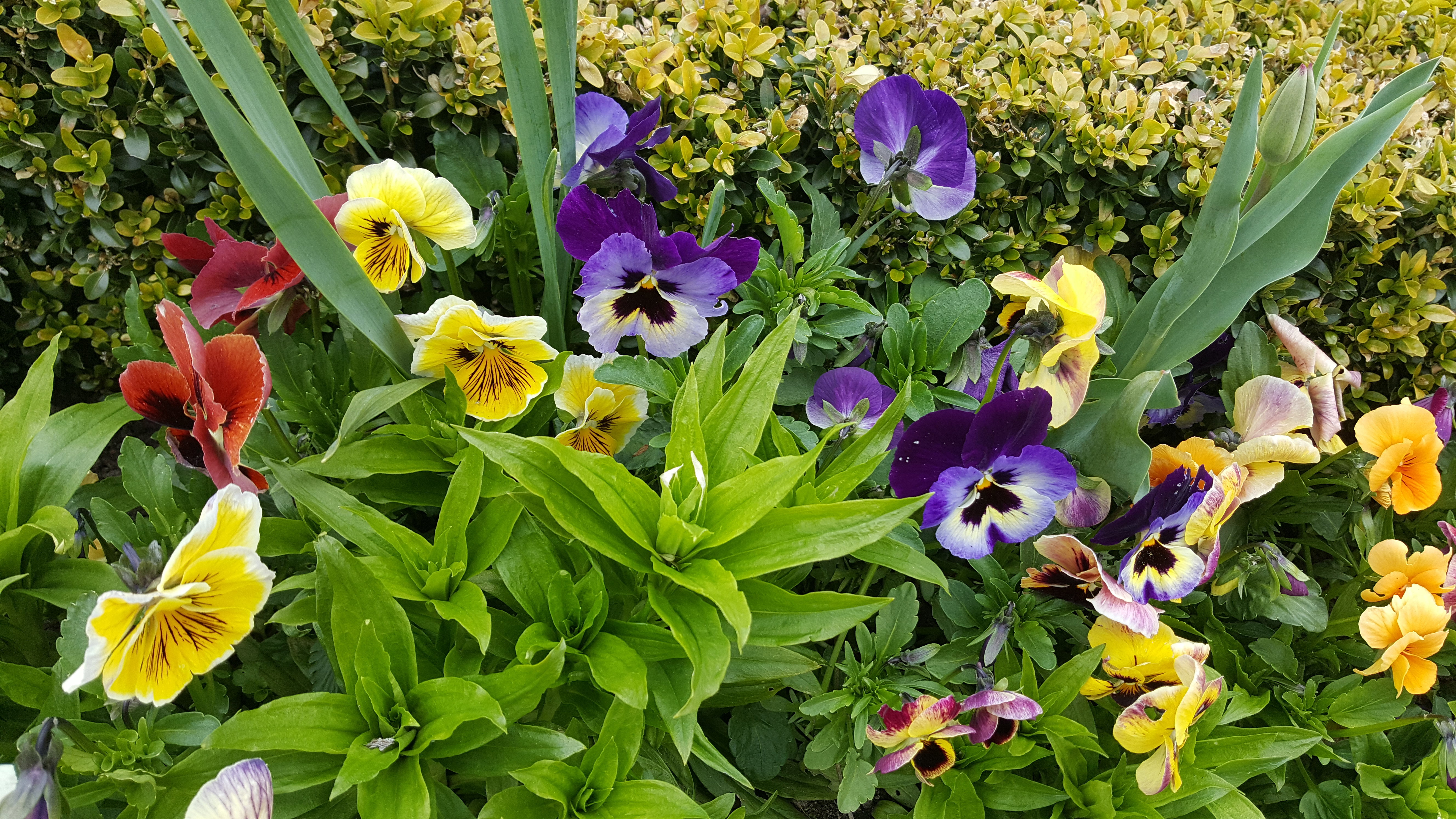 BRATKI OD PANA BRATKOWEGO