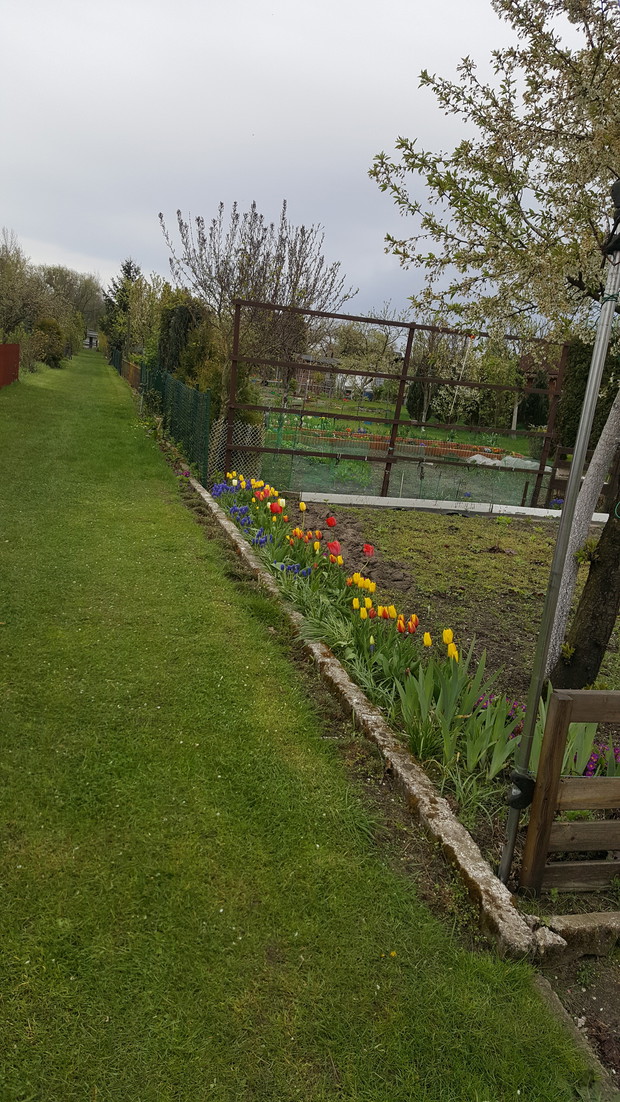 BRATKI OD PANA BRATKOWEGO