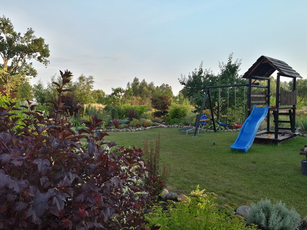 Coraz mniej trawnika, plac zabaw - dzieło męża. Trawnik zaczyna sie zielenić, po wielu tygodniach suszy. Jest szansa, że wróci do soczystego koloru jak w ubiegłym sezonie.