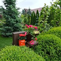 Drugie życie starej buraczarki