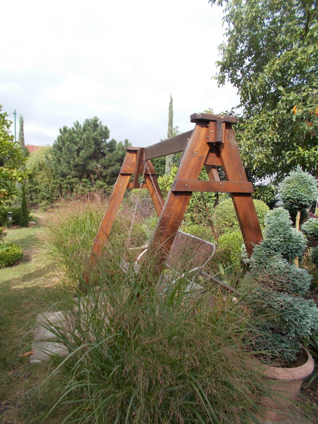 Huśtawka wśród trawy ozdobnej - proso rózgowate.