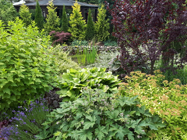 Inna strona stawku, na pierwszym planie zawilec japoński, tawuła, pęcherznica, lawenda, z tyłu funkia, śliwa.