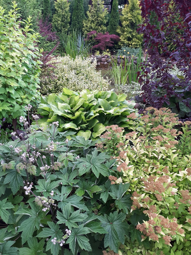 Inne spojrzenie na stawek.