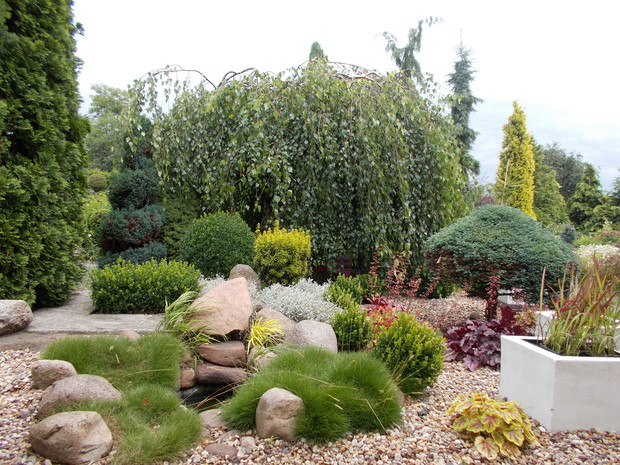 Kącik przed domem, dominują tutaj przede wszystkim żurawki, trawy ozdobne: hakonechloe oraz imperaty.