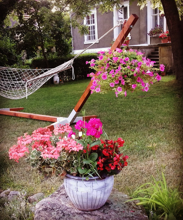 Kompozycja doniczkowa