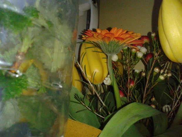 liśce w butelce i bukiet urodzinowy w szpitalu