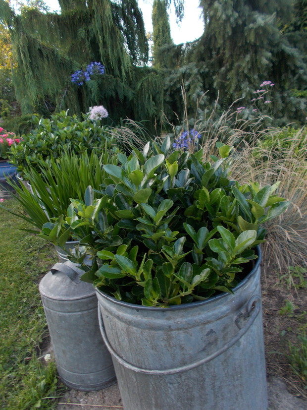 Mini kącik wiejski. 