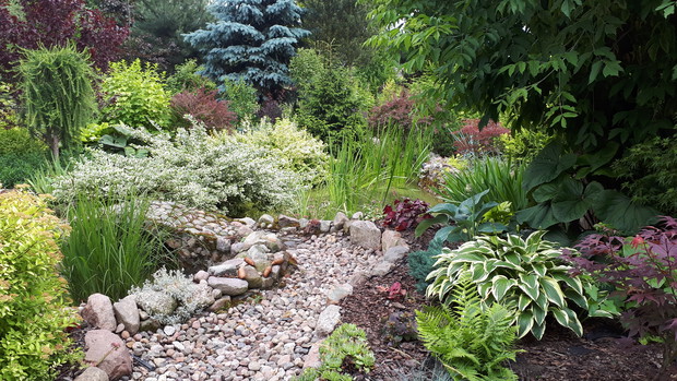 Moja ulubiona część ogrodu.