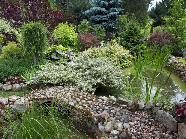 Mostek kamienny, ulubiony widok.