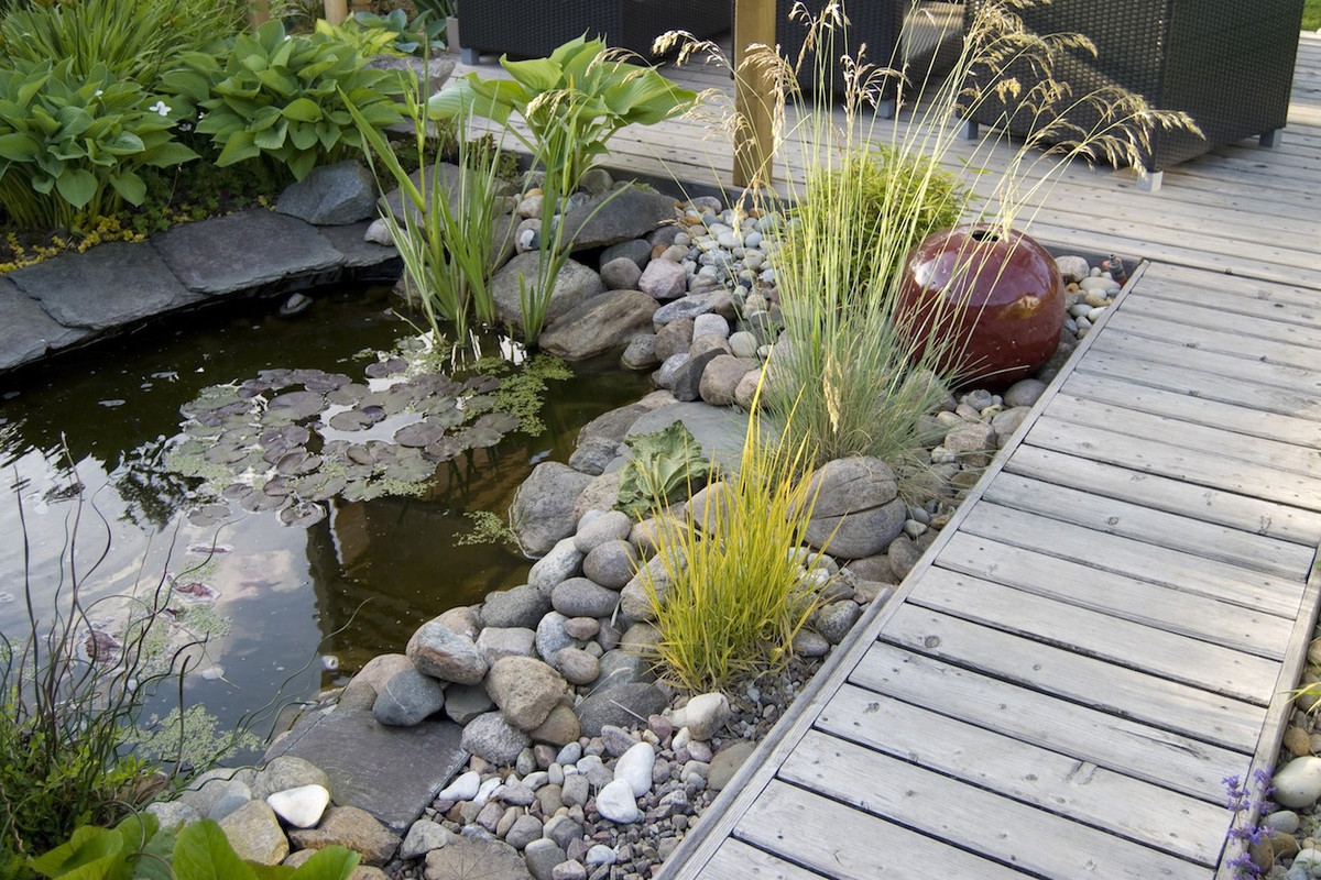 Oczko wodne może napawać swoich właścicieli prawdziwą dumą. Odpowiednio planując nie tylko roślin wokół zbiornika, ale i np. zintegrowany z nim pomost czy taras, uzyskamy przyjemny i atrakcyjny wizualnie element ogrodu. (zdj.: iStock)