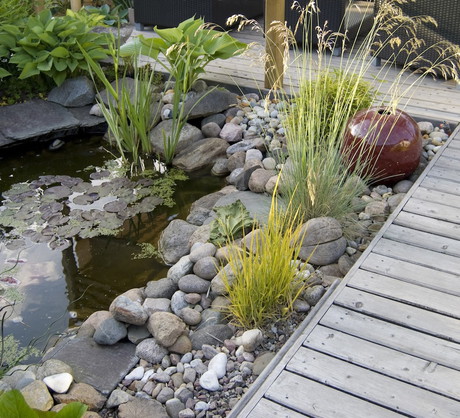 Oczko wodne może napawać swoich właścicieli prawdziwą dumą. Odpowiednio planując nie tylko roślin wokół zbiornika, ale i np. zintegrowany z nim pomost czy taras, uzyskamy przyjemny i atrakcyjny wizualnie element ogrodu. (zdj.: iStock)