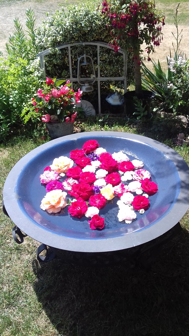 Palenisko w nowej odsłonie