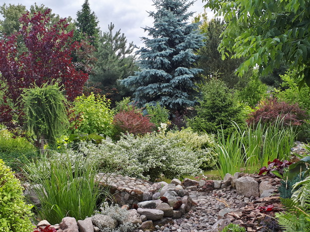 Piękna pogoda, ostatni dzień czerwca 2018