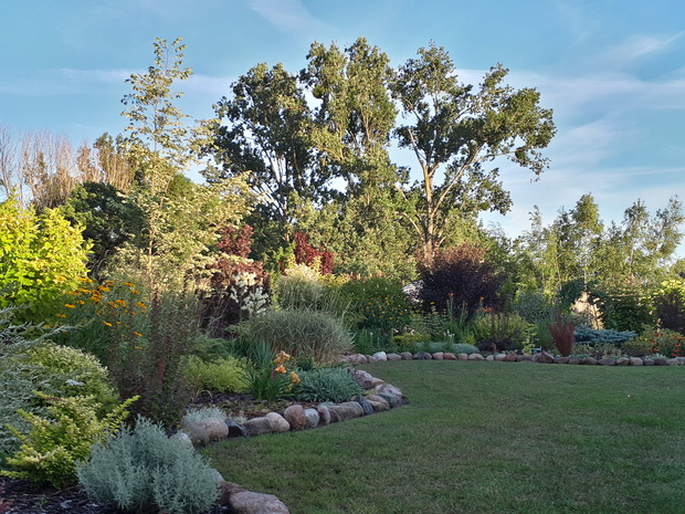 Po skończonym podlewaniu, późną porą - oczywiście musi być zdjęcie  :)