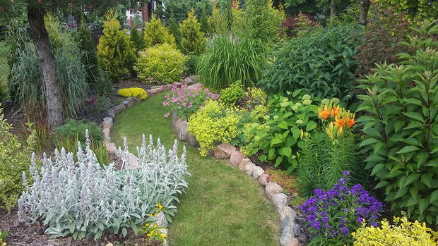 Początek czerwca, 2 sezon tego zakątku :) 