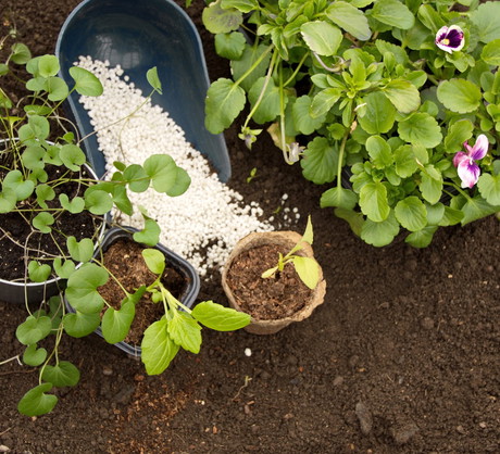 Przed sadzeniem roślin na glebie gliniastej najważniejsze jest rozluźnienie i przywrócenie pulchności podłoża. (zdj.: Adobe Stock)