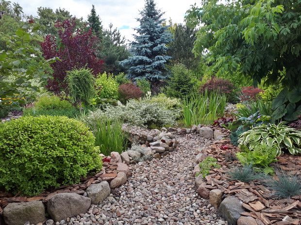 Przed stawkiem, ścieżka na mostek.