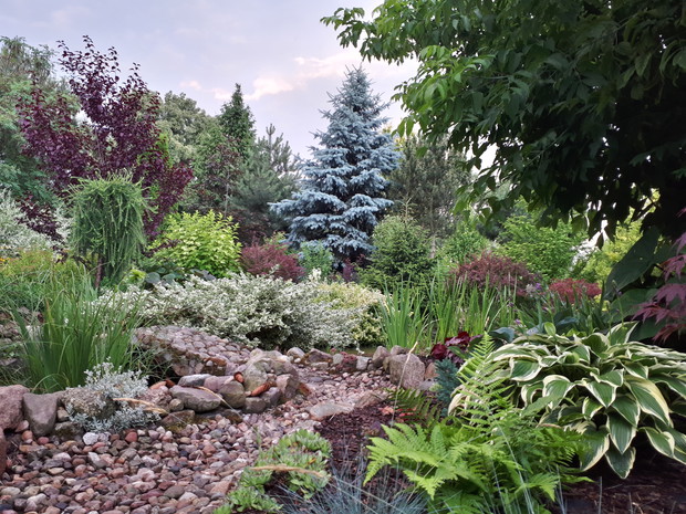 Przed stawkiem. Ulubione miejsce,  widok z altany.