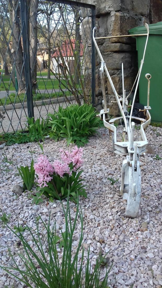 Stary sprzęt rolniczy