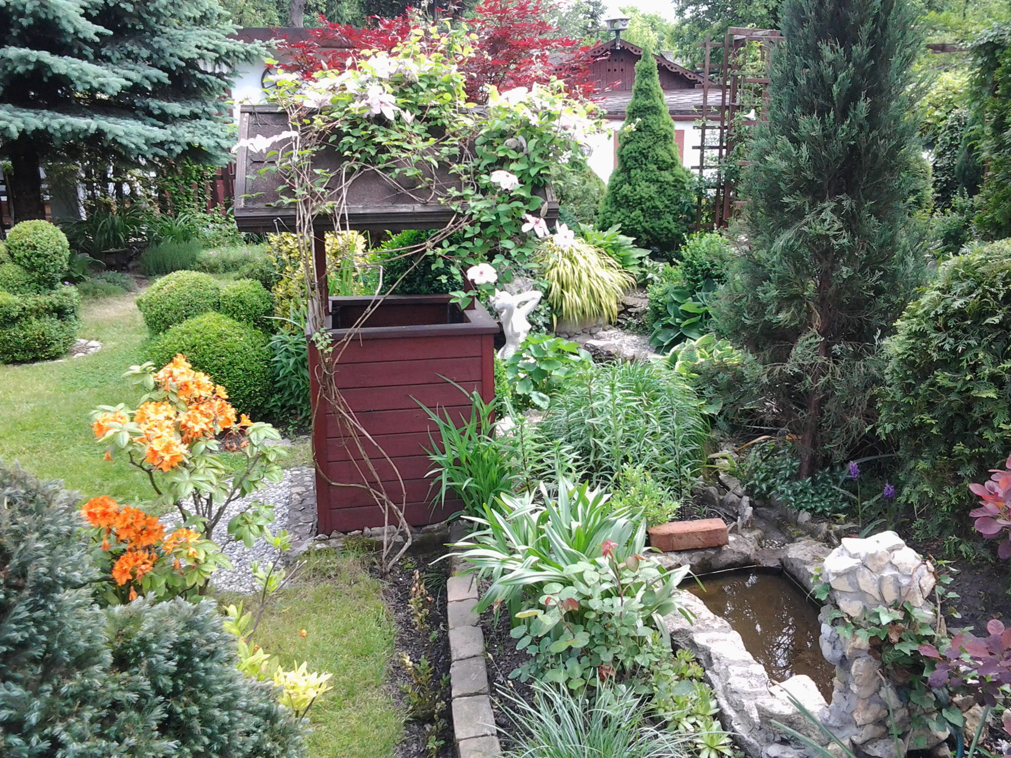 Studnia i oczko wodne