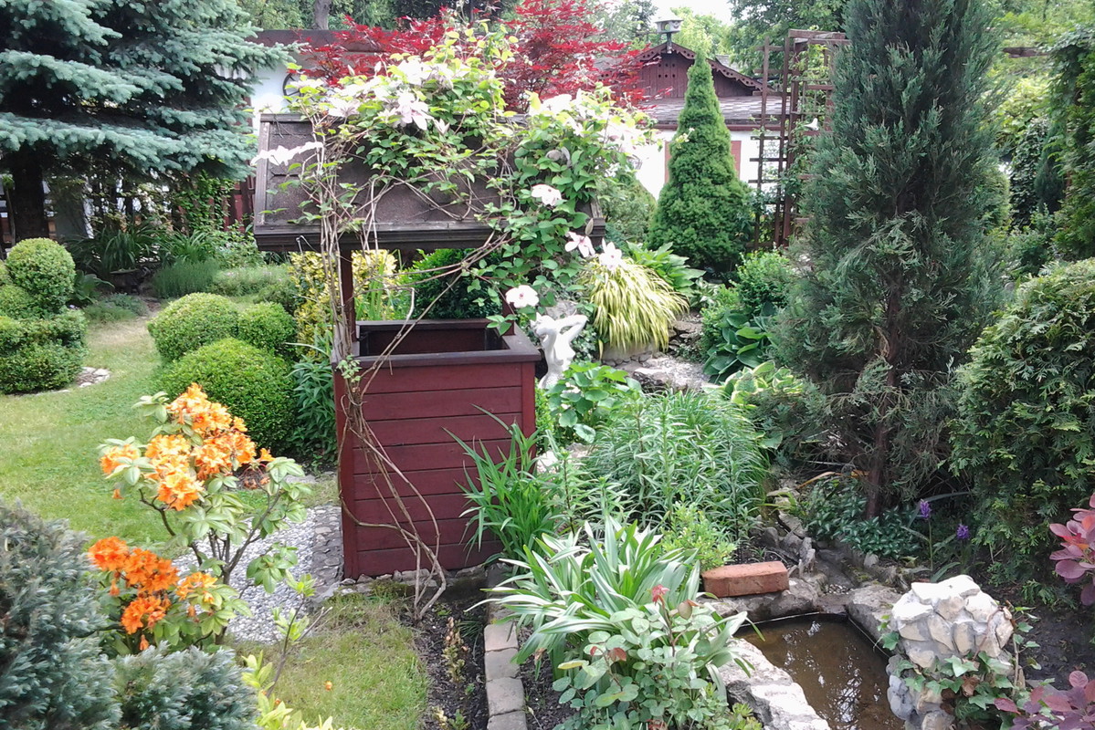 Studnia i oczko wodne