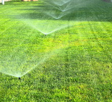 Systemy nawadniające są bardziej oszczędne od tradycyjnego podlewania wężem. Dzięki sterownikowi możemy zaprogramować intensywność podlewania, jego porę oraz dostosować je do np. wilgotności gleby. (zdj.: Adobe Stock.com)