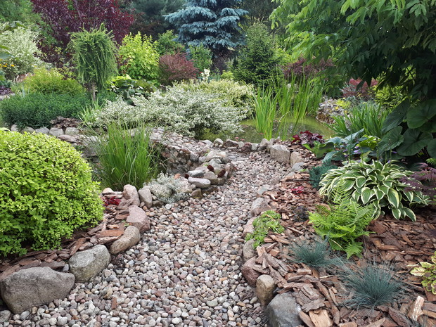 Tawułka świeżo po przycięciu, ciekawe czy zakwitnie raz jeszcze w tym sezonie.