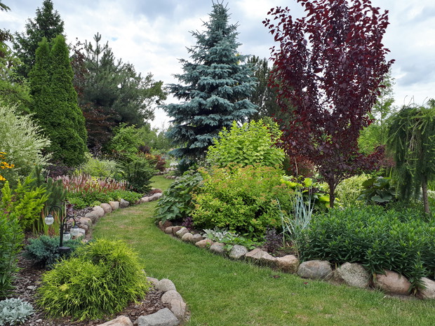 Trawa odżywa po wielu tygodniach suszy.