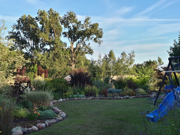 Trawnik dochodzi do siebie. Susza dała mu w tym roku wycisk. Ale nie poddajemy się, ratujemy. Ta część ogrodu jest najmłodsza, rośliny na obżerzach zaczęły 3 sezon, te z przodu 2. Trawnik w czerwcu miał rok.