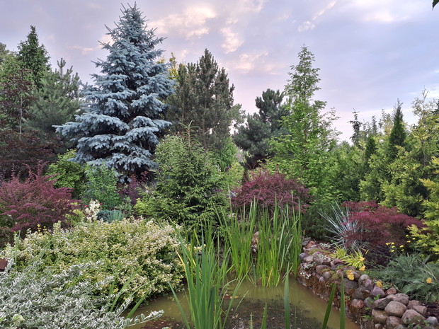 Ulubione miejsce, ukochany widok.