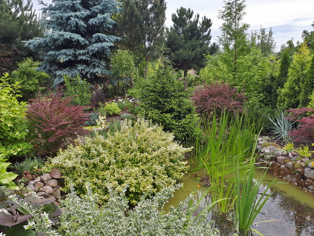 Ulubiony widok w ogrodzie.