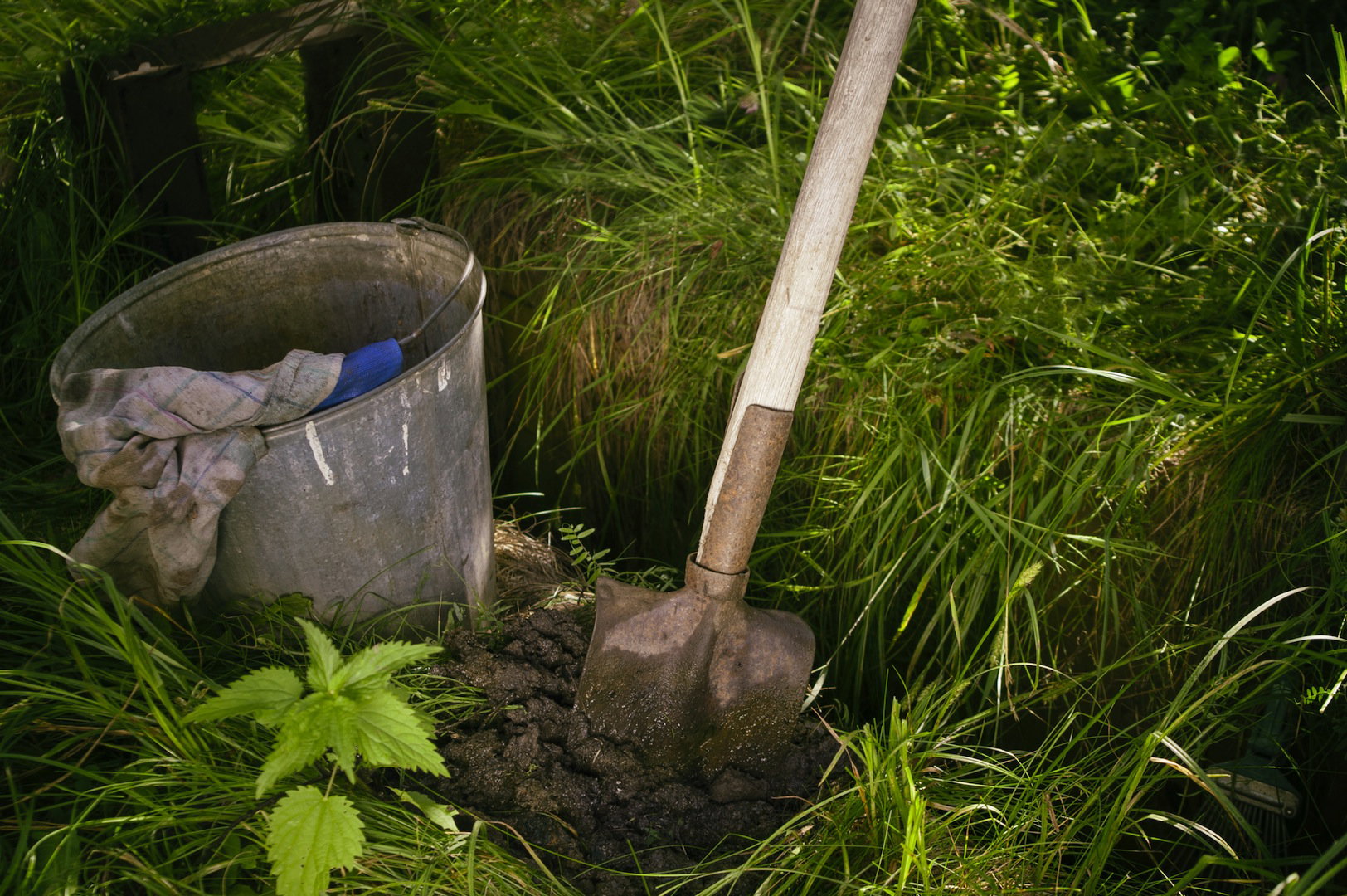 W zależności od rozmiaru działki, wykopanie strumyka może być czasochłonne i męczące, efekt tej pracy z pewnością jednak wynagrodzi cały włożony trud. (zdj.: Adobe Stock)