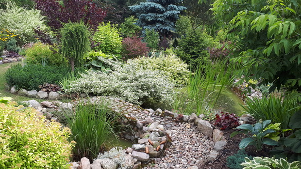 Widok na stawek i najstarszą część ogrodu. Czerwiec 2018