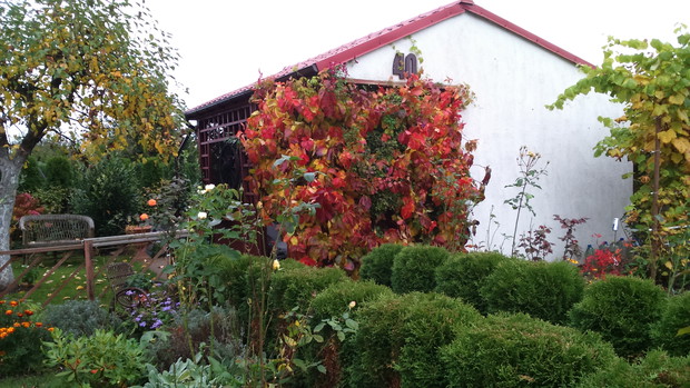 Widok przyciąga oczy