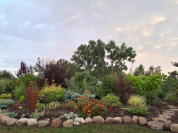 Wieczorem, w najmłodszej - 2 letniej części ogrodu. 