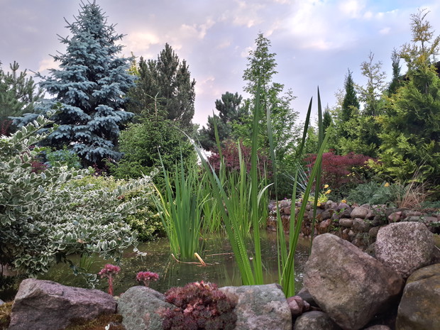 Wieczorną porą, malownicze niebo i Nasz ukochany stawek.